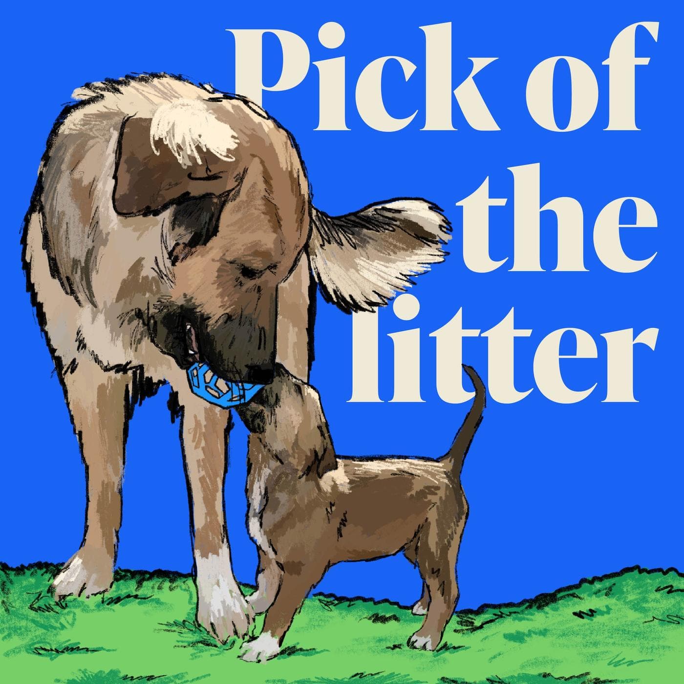 Artwork for Pick of the Litter