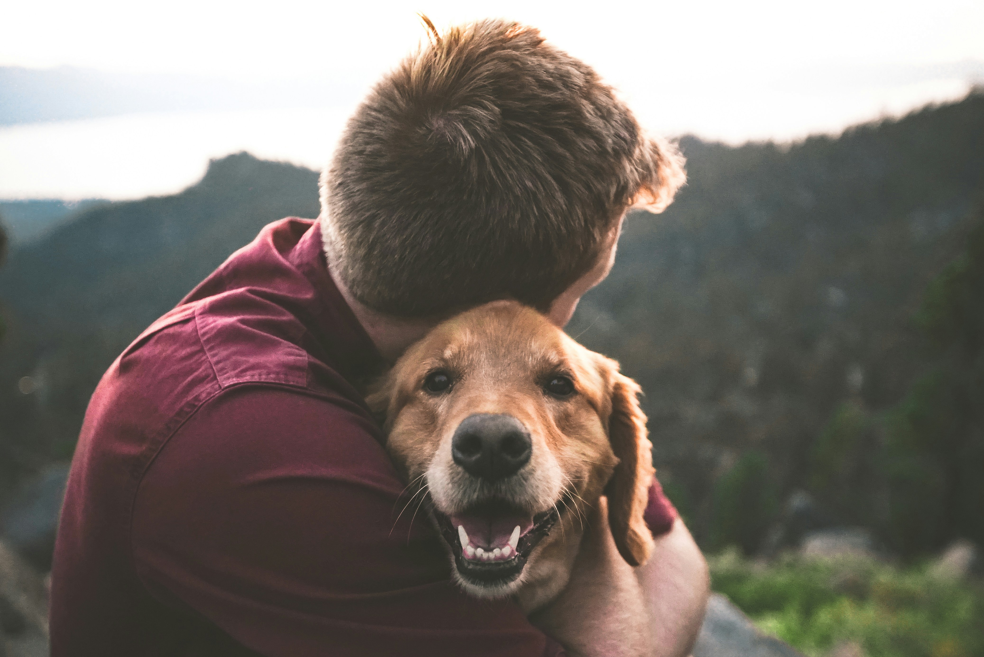 A person sitting on grass outdoors with their dog leaning into them, warm candid moment