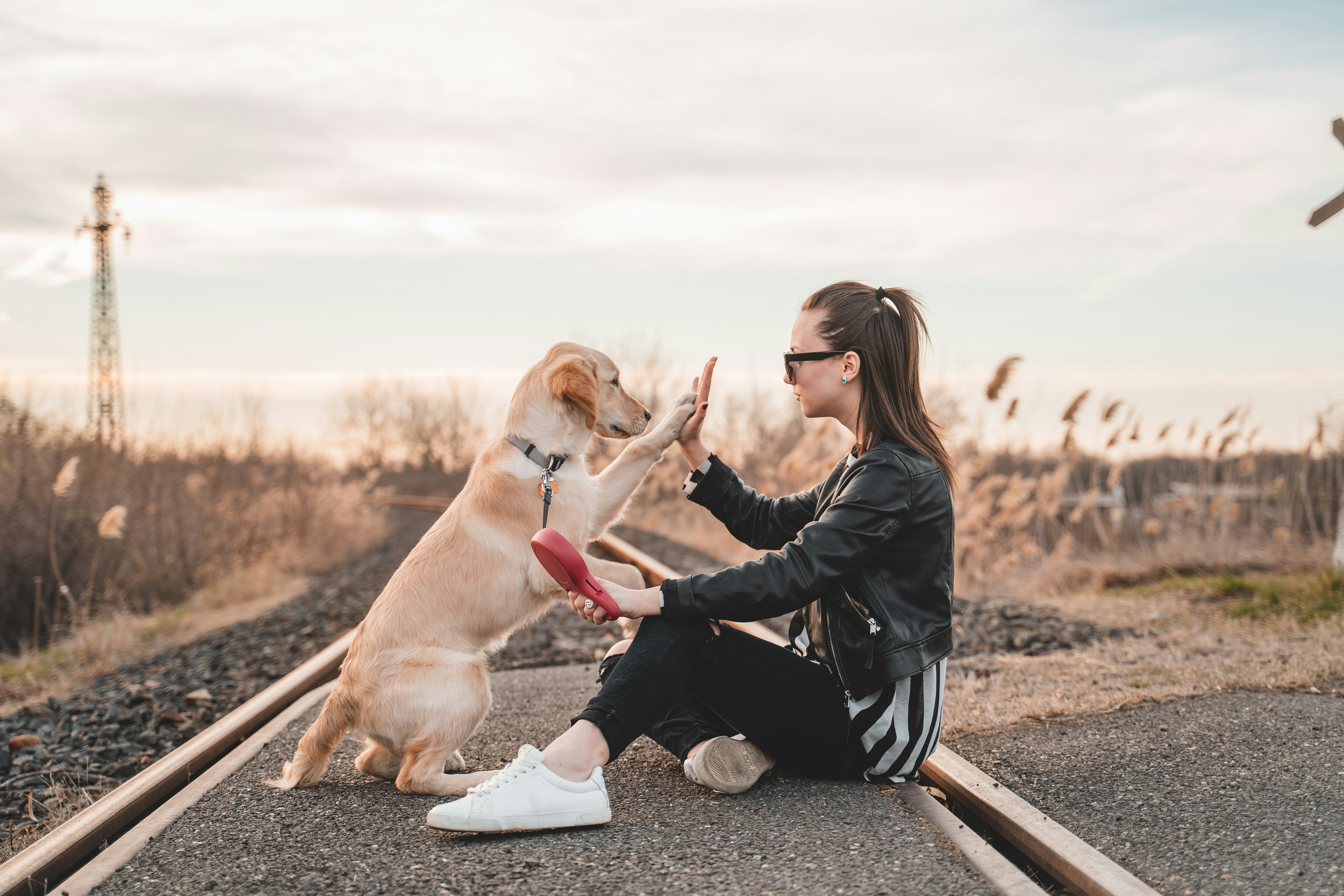 A person sitting outdoors with a calm, attentive dog in warm natural light